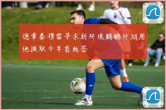 德章泰穆雷寻求新环境鹈鹕计划用他换取今年首轮签